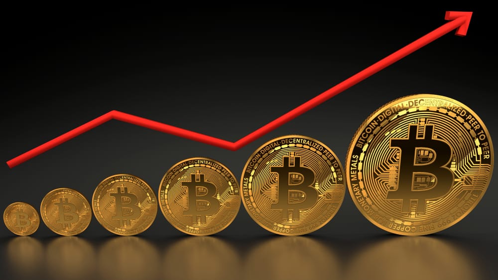 Bitcoin ETFs Snap 10-Day Bleeding Streak With Biggest Inflow in Two Months